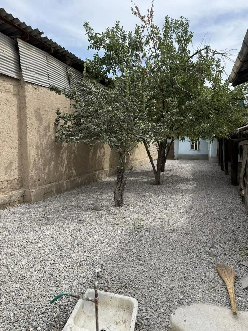 乌兹别克斯坦 塔什干 米拉把得区 友谊餐厅斜对面  离机场 火车站非常近