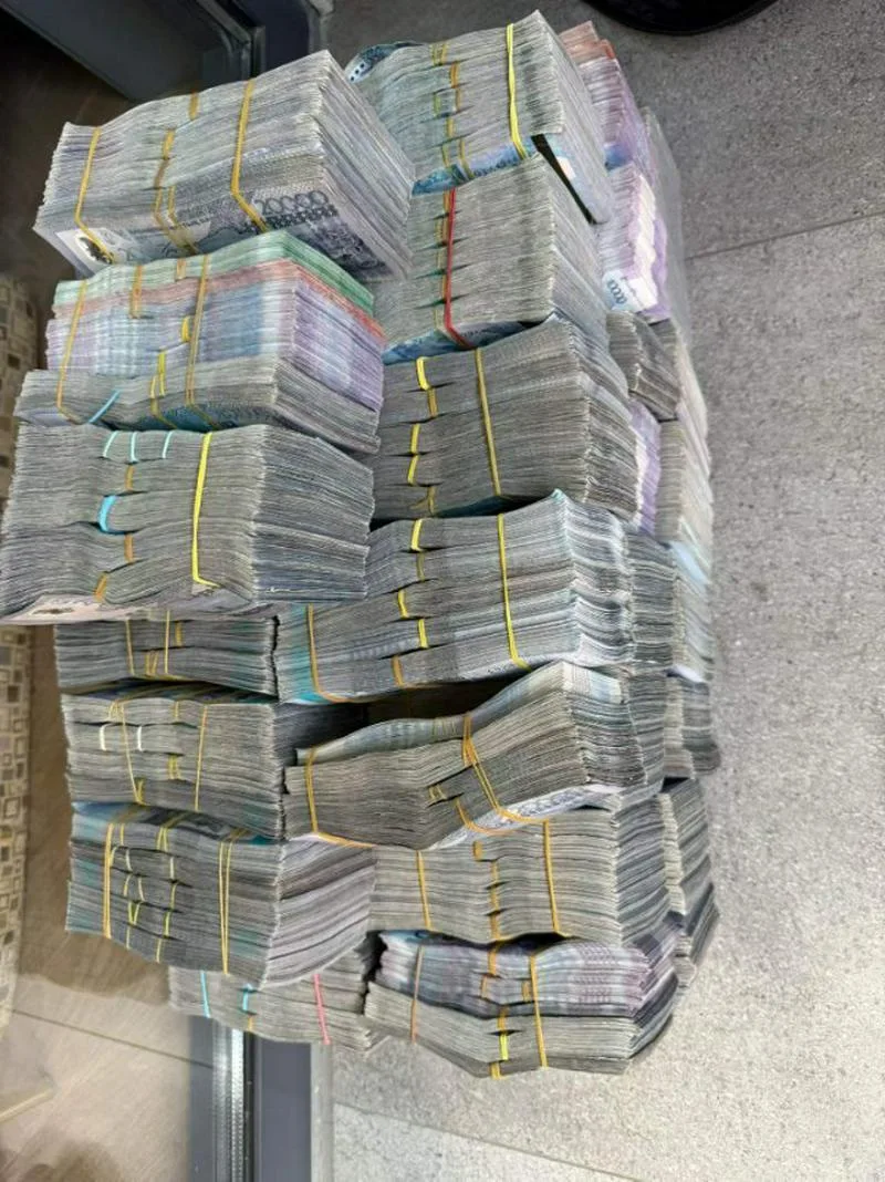 求职自带小车翻译兼司机