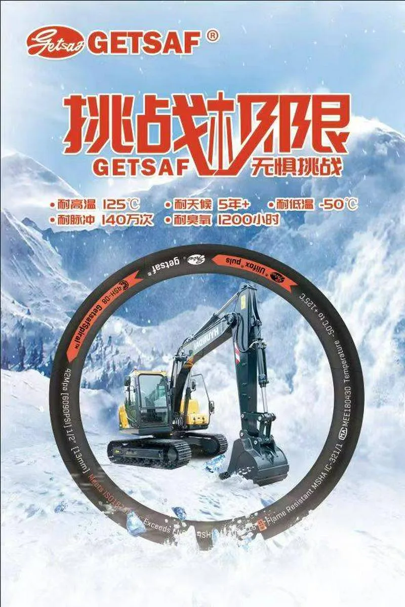 双龙公司
