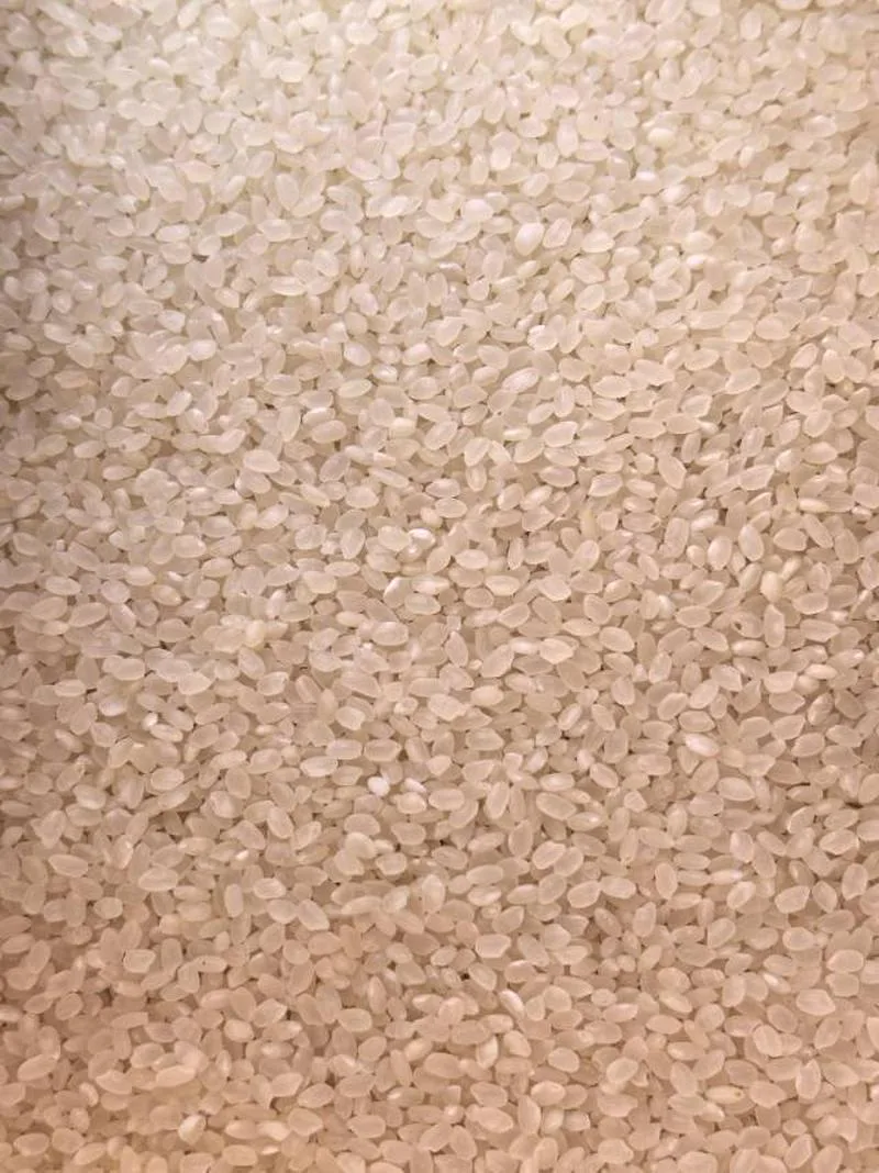 好消息，好消息，中国大米入驻吉尔吉斯斯坦了