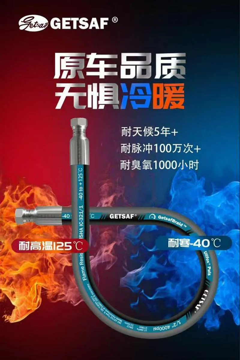 双龙公司