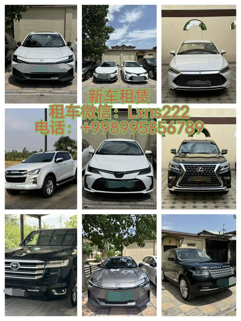 塔什干租车带翻译，都有