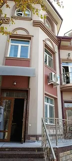 AVP中国茶叶
