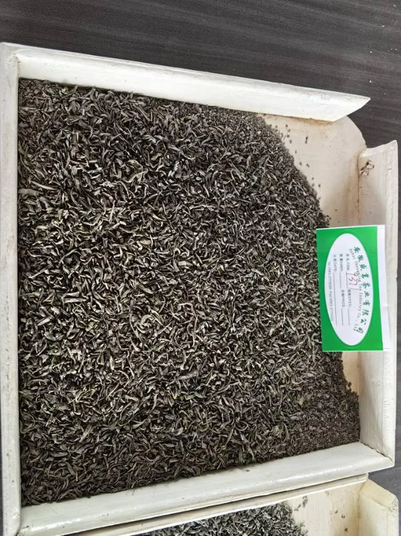 珍眉绿茶自营出口，有需要的联系13305639371