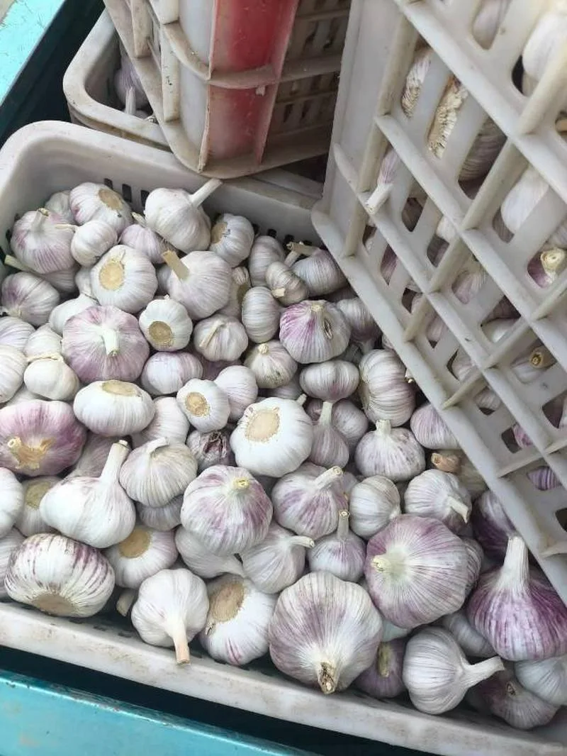 坐标中国山东