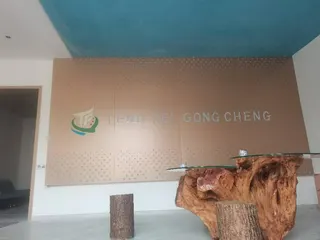 腾飞工程