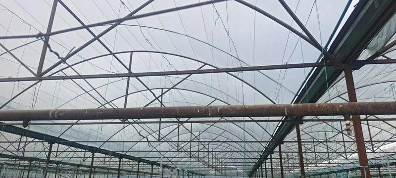 招聘安装大棚薄膜工人4名，工资面议，+77071721081