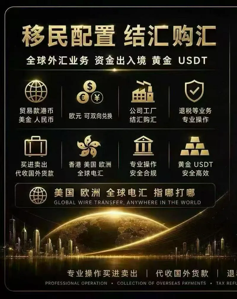 结汇 购汇  公司个人  海外移民