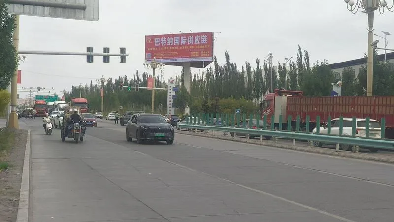 巴特那国际供应链