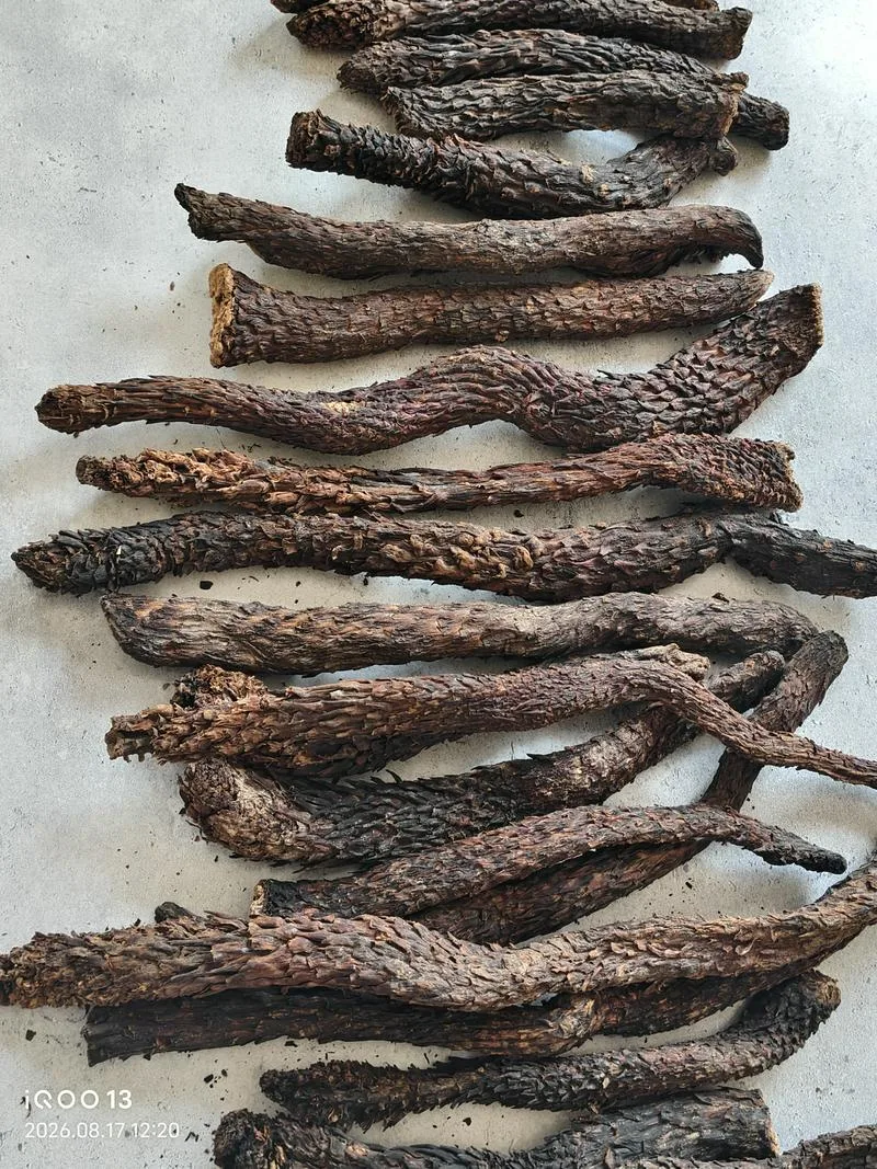 现货批发肉苁蓉，+998951636818