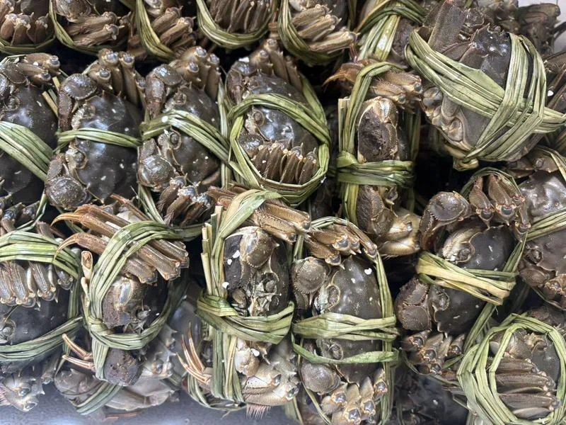 塔什干大闸蟹源头供应