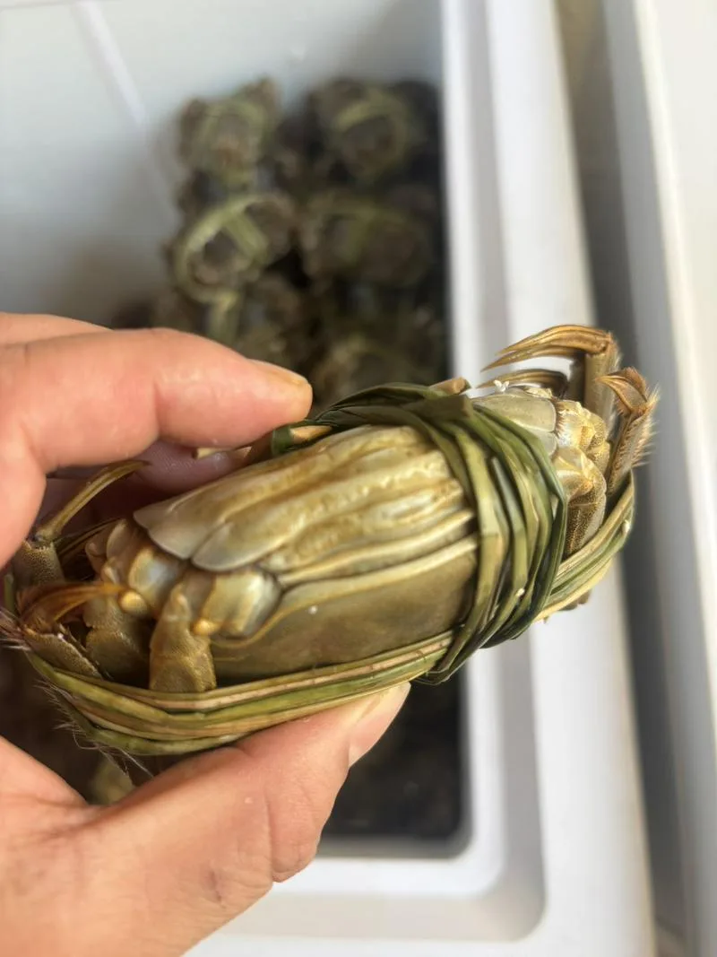 塔什干大闸蟹源头供应