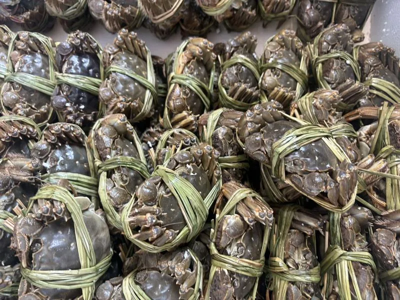 塔什干大闸蟹源头供应