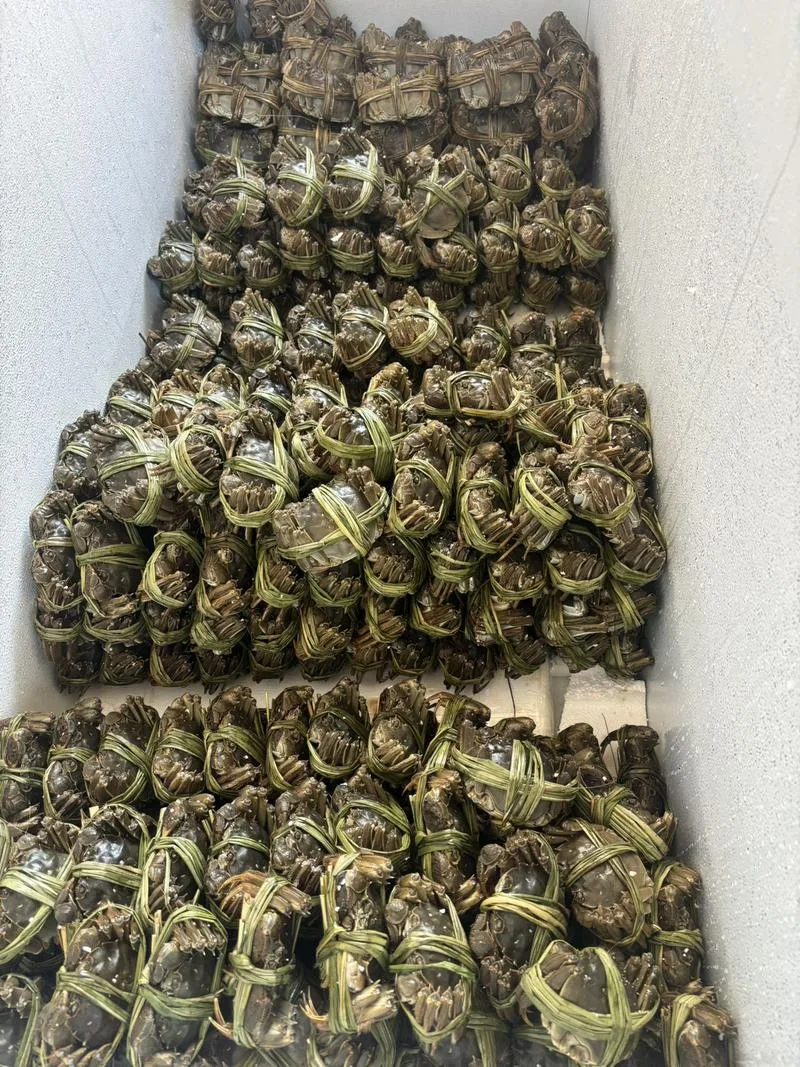 塔什干大闸蟹源头供应