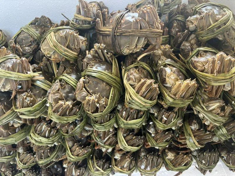 塔什干大闸蟹源头供应