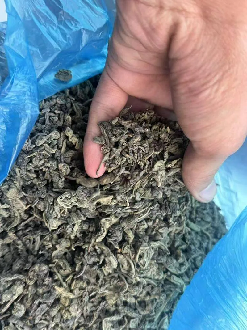 乌兹别克斯坦现货茶叶，现货充足有需要的老板滴滴